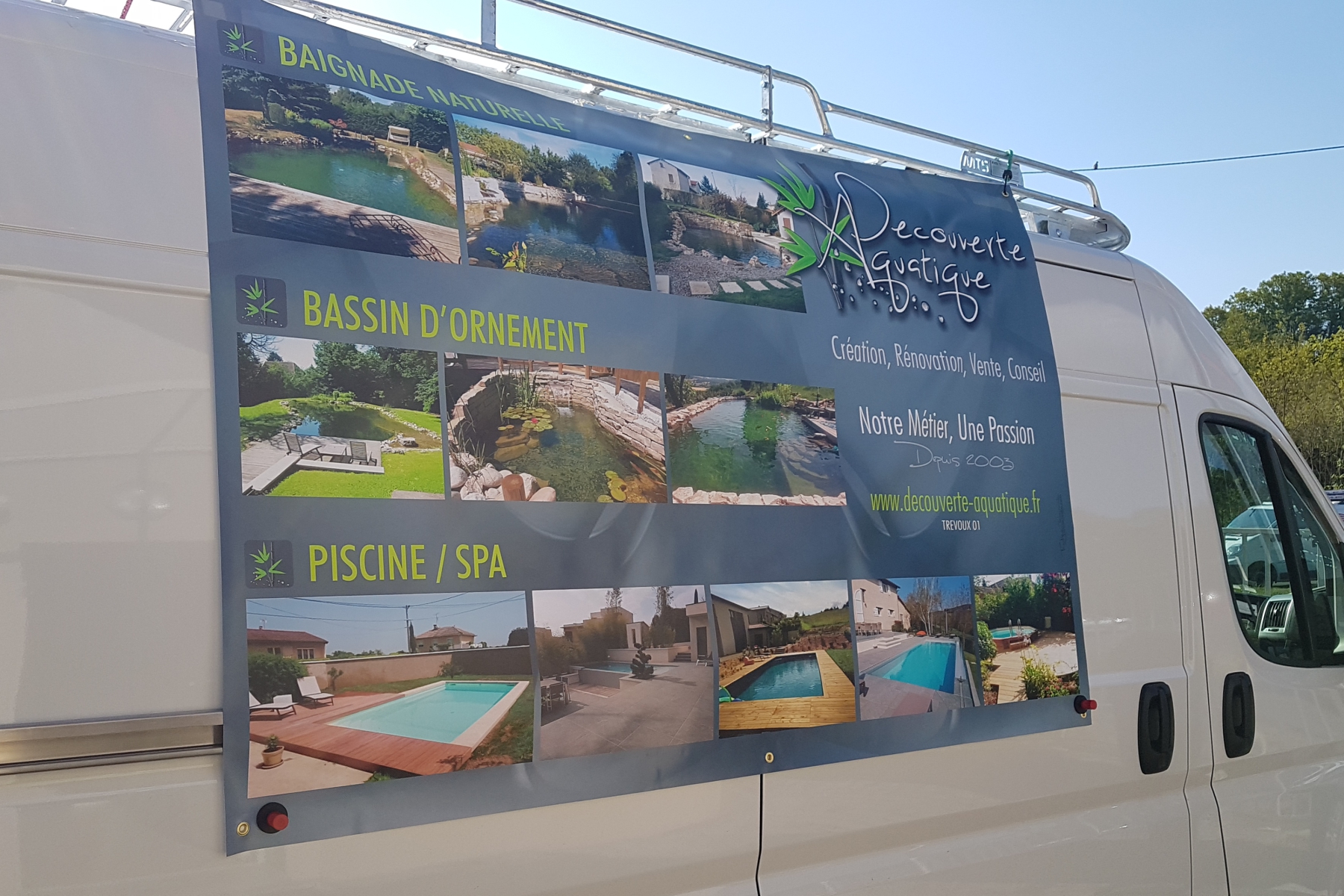 BACHES-6