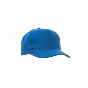 BLEU ROI