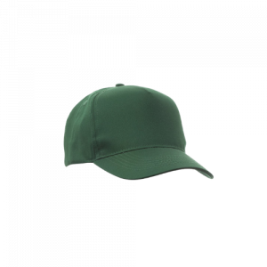 VERT